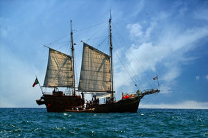 Ferdinand Magellan : Ses voyages et interactions avec les pirates